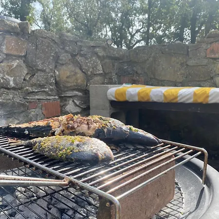 Simonetta Castellina Marittima