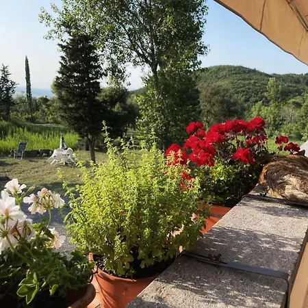 Apartmán Simonetta Castellina Marittima