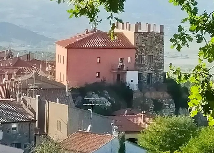 Simonetta