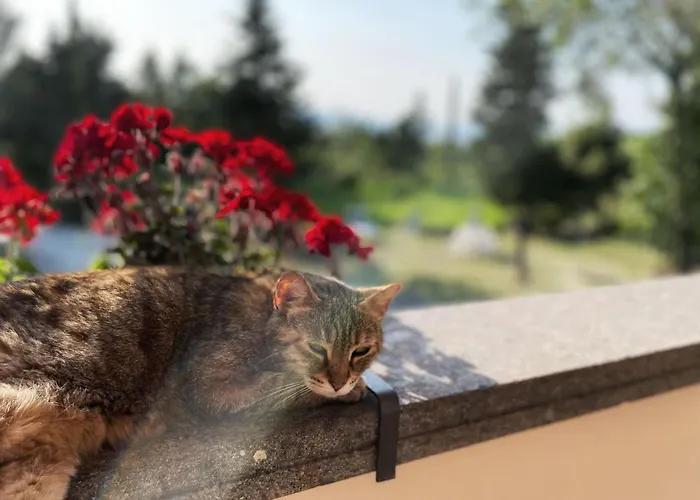 Simonetta Διαμέρισμα *
