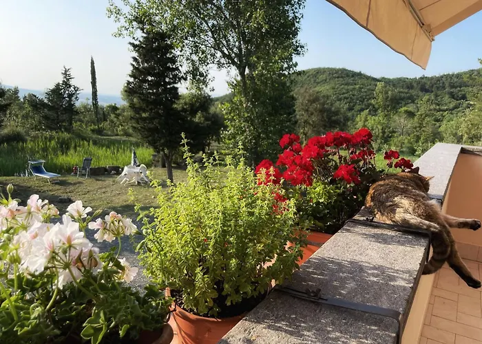 Διαμέρισμα Simonetta Castellina Marittima